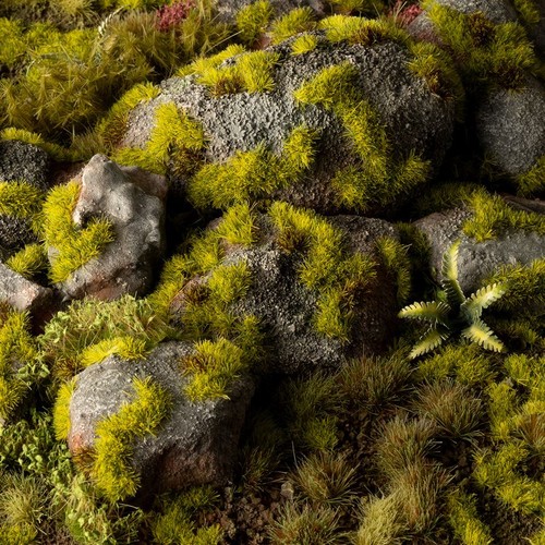 Gamers grass moss wild - gamers,