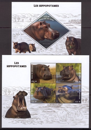 Lollini m42 hippopotamus - lollini,