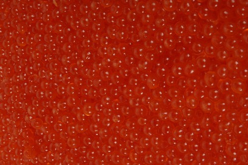 500 caviale salmone keta - 500,