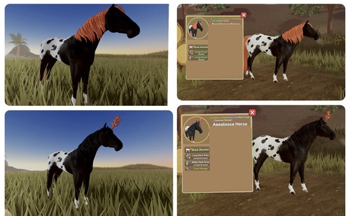 Wild horse islands - islands, &