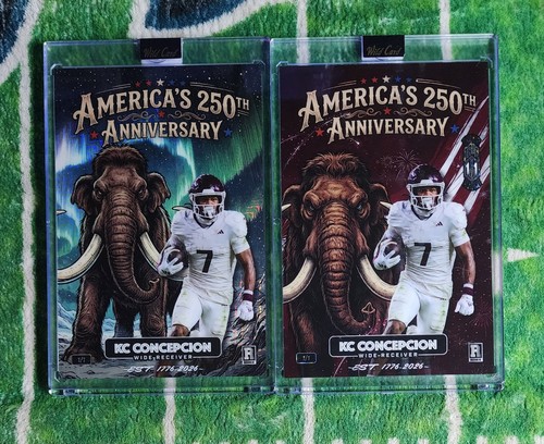 2026 wild card mammut - 2026,