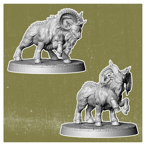 Rams wild - di,