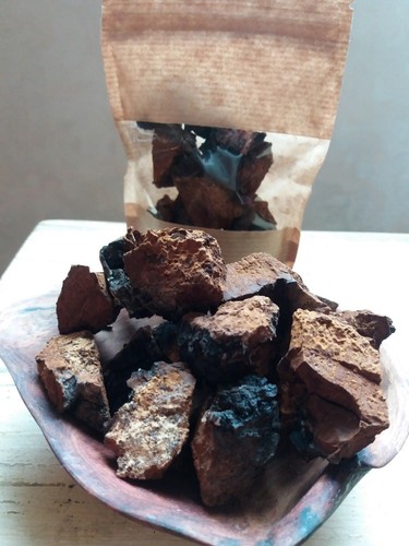 Brock funghi chaga - brock,
