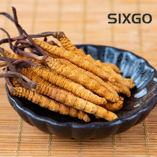 Wild cordyceps sinensis - cordyceps,