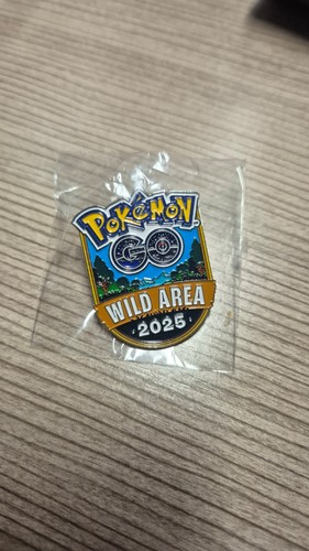 Pokémon wild area 2025 - pokémon, go