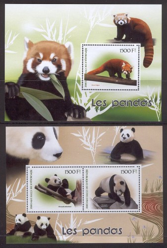 Lollini n17 pandas - n17, animali