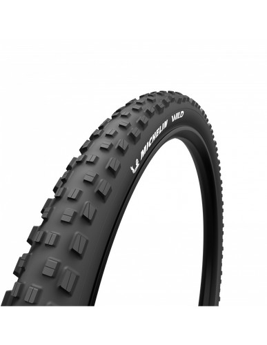 Michelin pneumatico rigido - pneumatico,