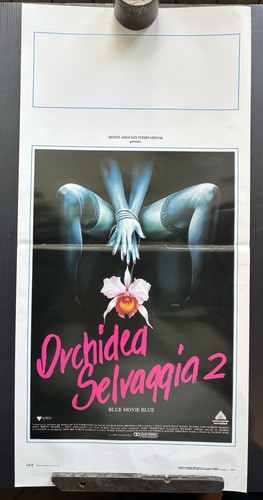 Orchidea selvaggia wild - selvaggia,