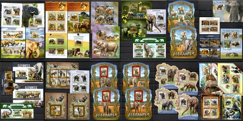 Elefanti animali selvatici - animali,